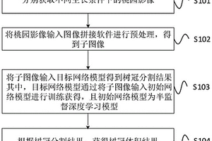 基于无人机影像的桃树树冠表型信息提取的方法、装置及系统