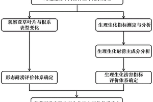 鉴定萱草耐涝性的综合评价体系