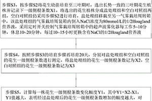 筛选耐盐花生品种的方法