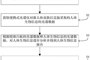 利用反射光谱分析人体生物信息的方法及系统