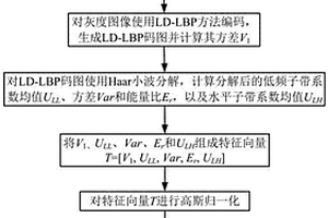 基于二次谐波图像纹理分析的皮肤瘢痕诊断方法