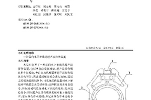 面向水下管线的超声波探伤装置