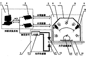 基于机器视觉的高速瓜果品质识别系统