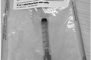 犬脂肪干细胞的提取方法及其制剂和应用