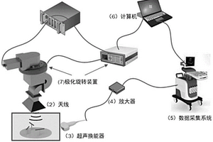 极化微波热声成像装置及方法