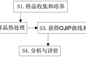 基于快速荧光诱导动力学的山核桃耐高温性评价方法