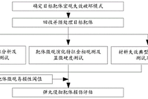 弹丸侵彻靶体损伤评估方法