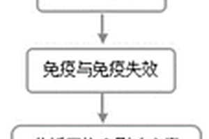 网络病毒传播行为建模方法