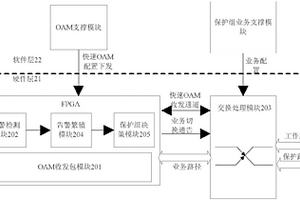 分组传送网络保护倒换装置和方法