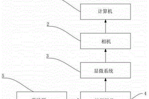 锁相微光显微成像方法及装置