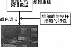 暗环境下人眼视觉系统感知效果的合成方法