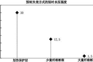 纤维增强热塑性塑料复合管失效分析方法