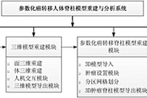 参数化癌转移人体脊柱模型重建与分析系统