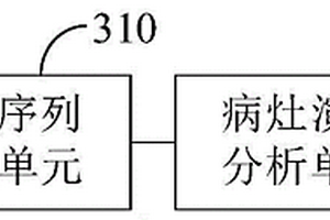 DR病灶演化分析装置和方法