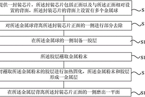 封装芯片失效分析样品及其制备方法