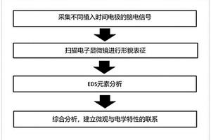侵入式神经电极失效分析方法
