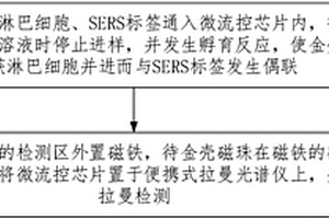 淋巴细胞辐射受损SERS检测方法