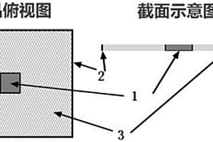 微小芯片的失效分析中的样品制备方法