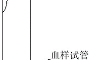基于体检采血的免贴标签的血样试管及其使用方法