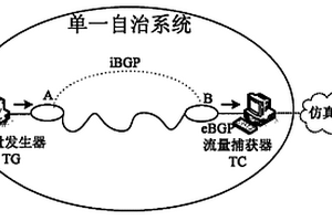 自治系统网络路由收敛性能测试方法