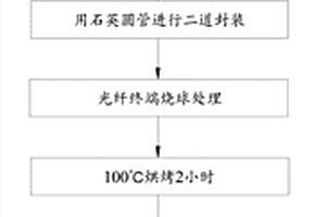 光纤耦合器及其制备方法和封装失效的检测方法