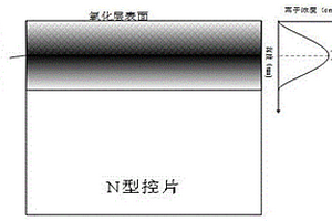 离子注入机稳定性的监控方法