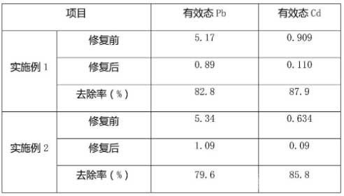 矿山重金属尾矿库污染土壤修复的药剂及使用方法