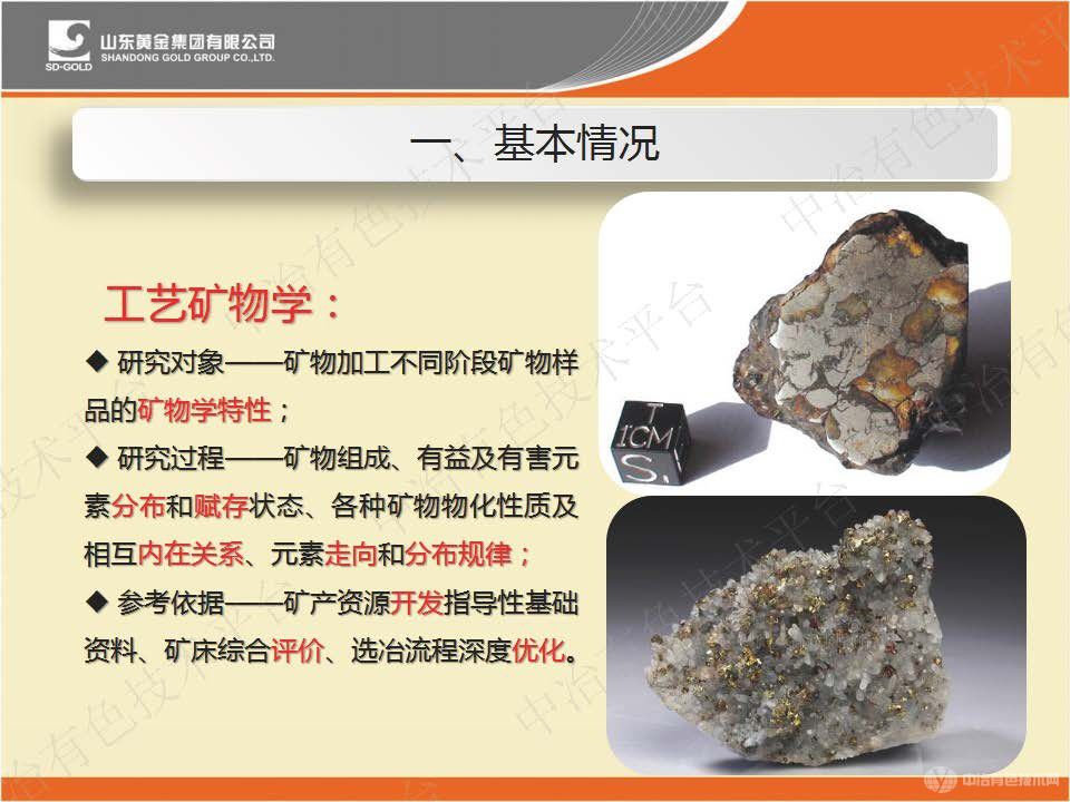 工艺矿物学在黄金选冶过程中的研究与应用