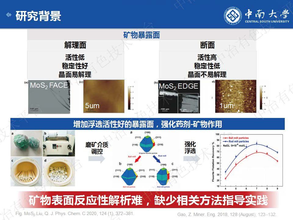 矿物表面反应性解析的新进展