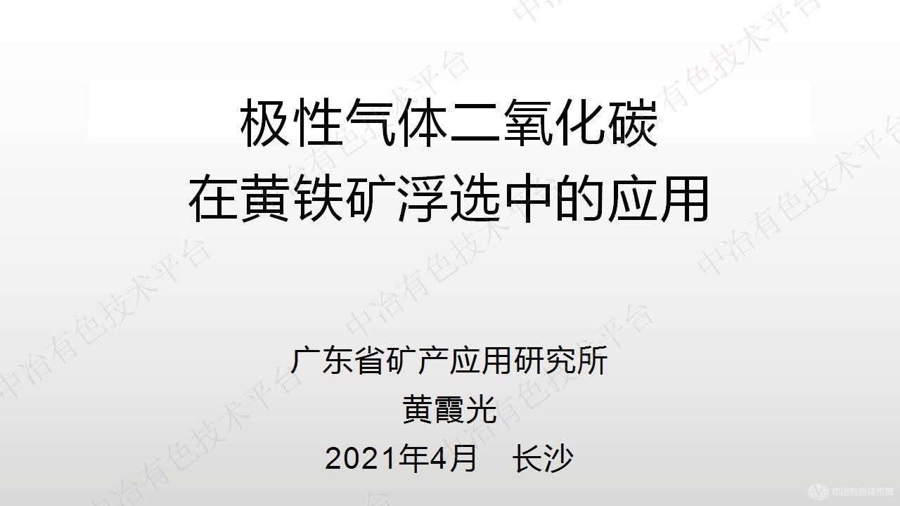 极性气体二氧化碳在黄铁矿浮选中的应用