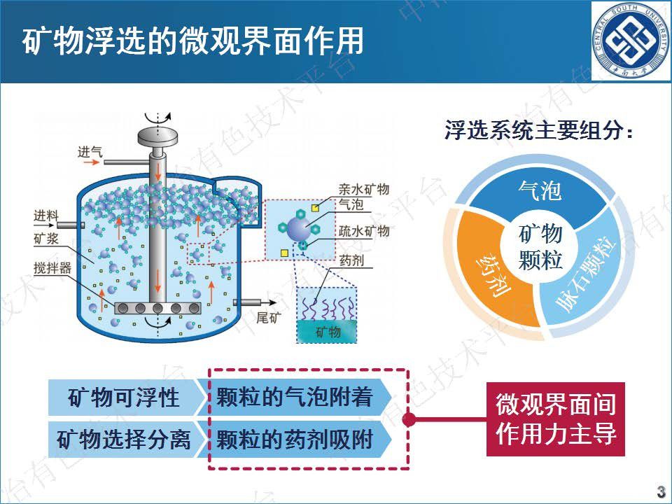 硫化矿浮选的微观界面作用