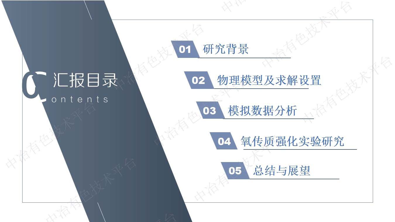 加压湿法冶金强化流体动力学及强化机理研究