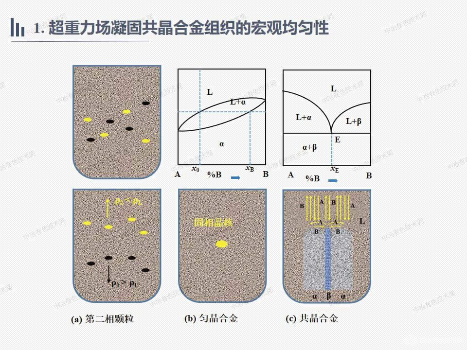 共晶合金的超重力场凝固细化机理