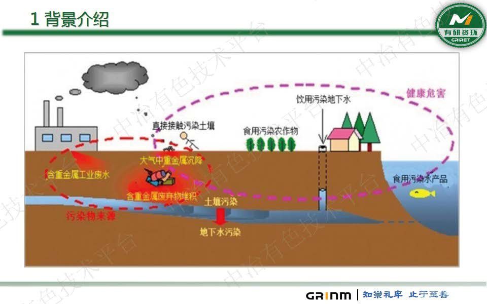 微生物法重金属固化稳定化及生态修复技术