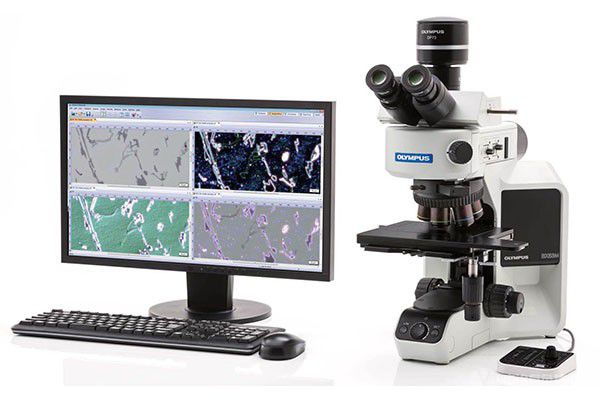 奥林巴斯金相显微镜BX53M