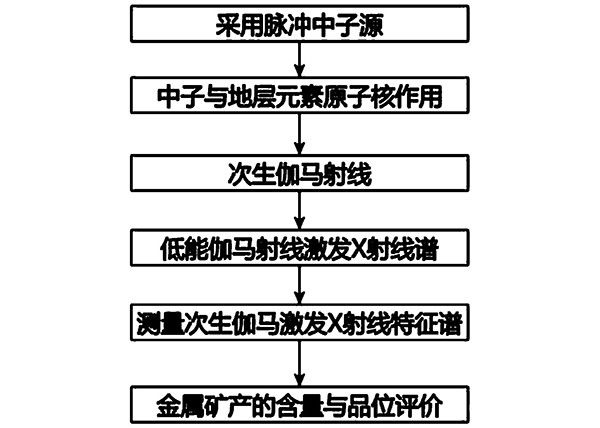 基于脉冲中子源的金属矿产测井设备与方法