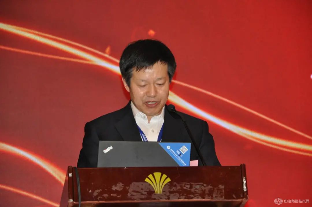 中国有色金属学会副理事长兼秘书长 张洪国