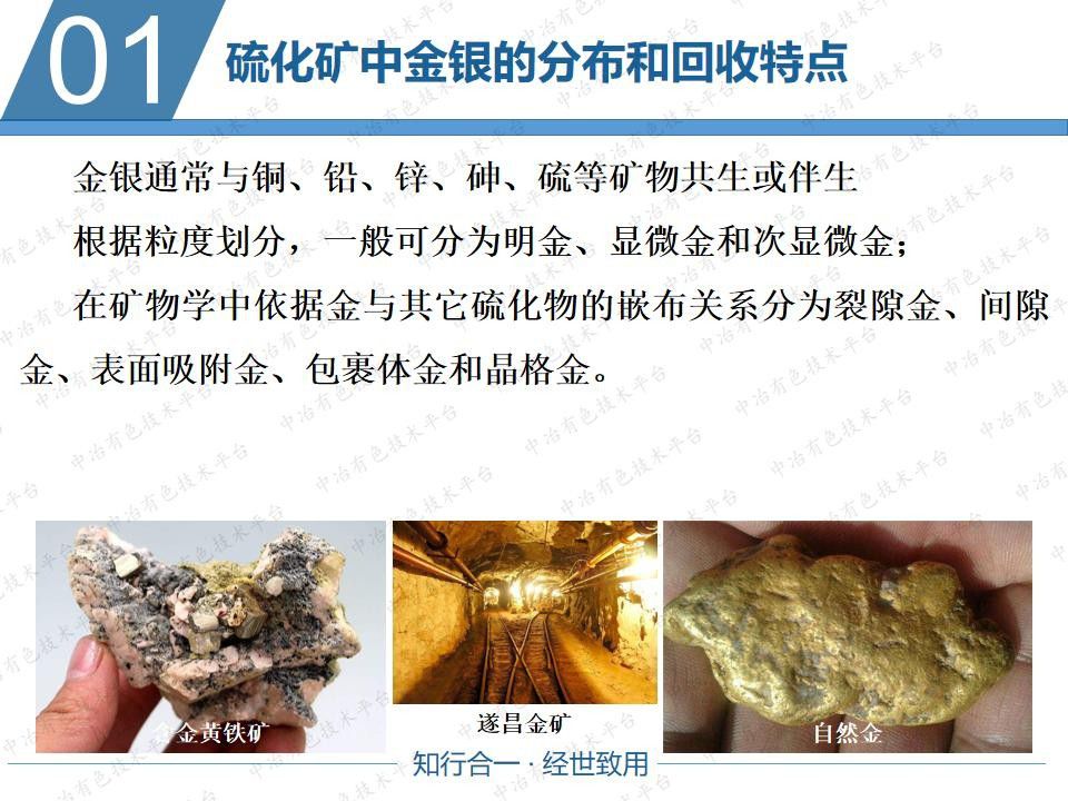 提高凡口硫精矿中银回收率试验方案