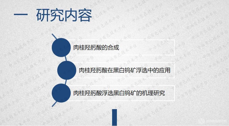 新型羟肟酸对黑白钨的浮选行为及其机理研究