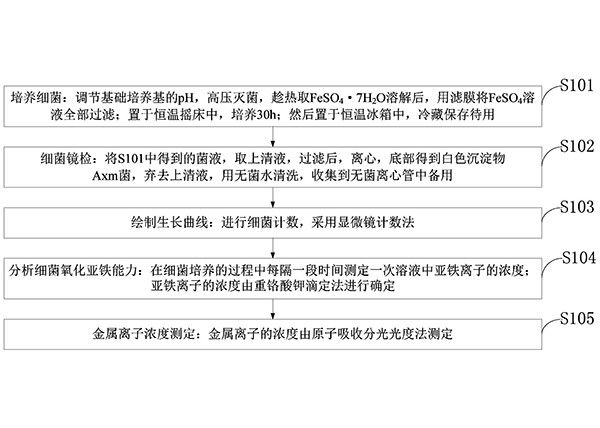 海洋菌浸出低品位硫化矿的方法