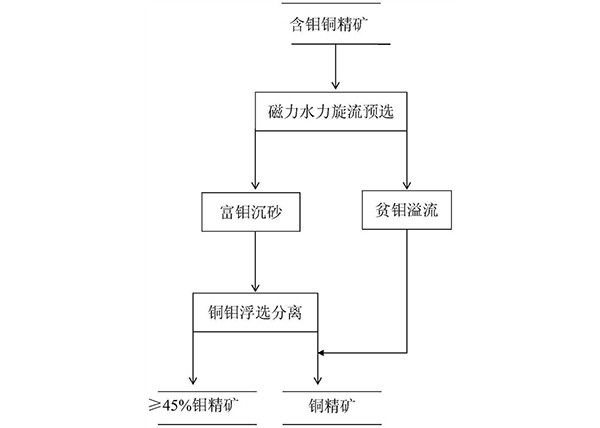 含钼铜精矿的预选方法