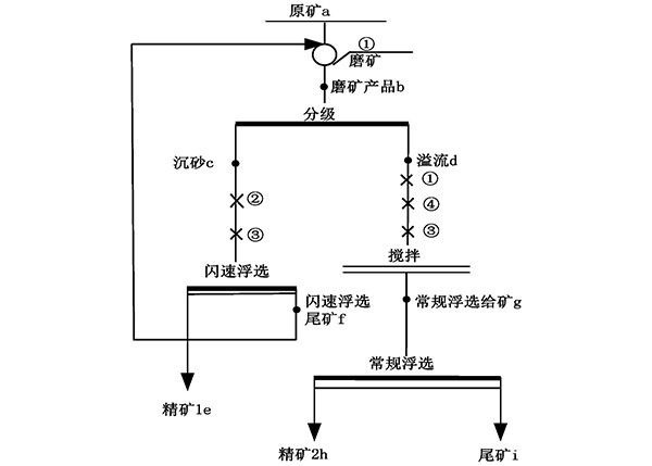 含辉铜矿粗粒嵌布型硫化铜矿石分步磨矿浮选法