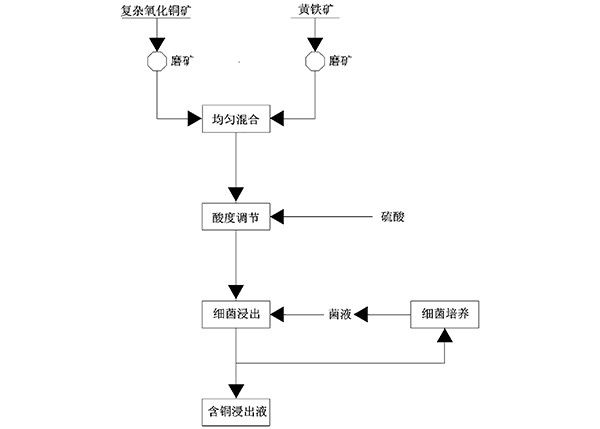 含多种铜矿物的复杂氧化铜矿的细菌浸出方法