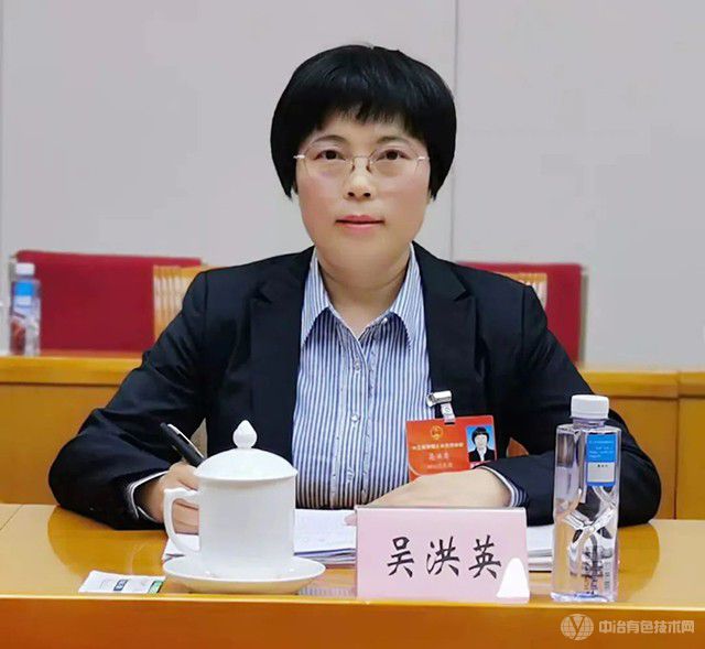 人大代表吴洪英：创新培育钒钛新材料集群