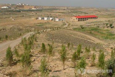 宁夏：绿色矿山“回头看”，不符合标准将被除名