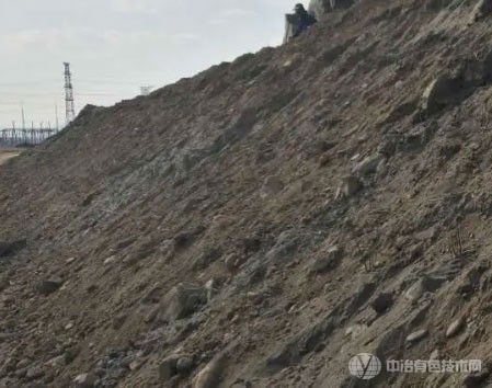 浮选难题：为什么低含量锡石尾矿的精矿品位难以提高？