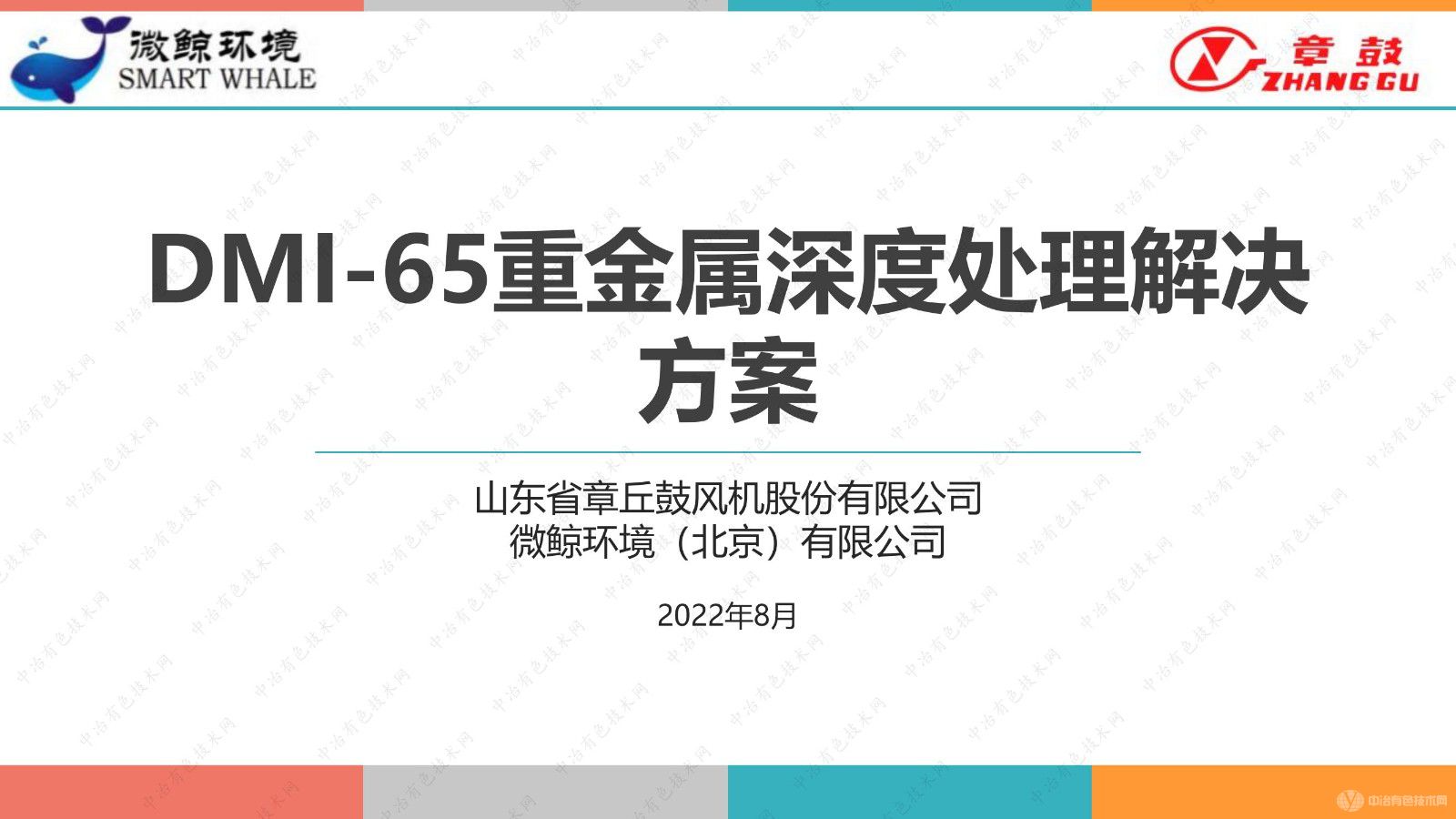 DMI-65重金属深度处理解决方案