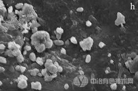 基于MICP原理的生态固炭充填材料及其制备方法