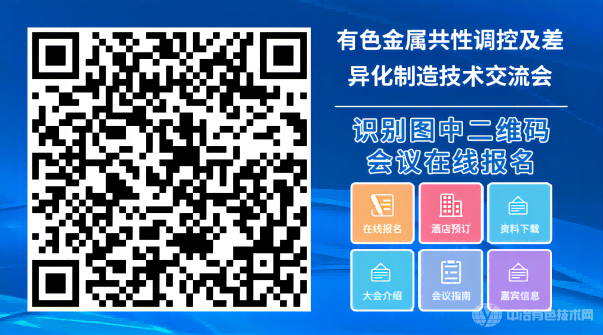 2022中国有色金属智库湘江论坛