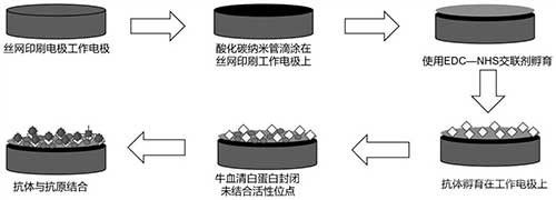 电化学生物传感器及其制备方法与应用